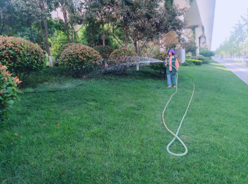 J9九游會鮮花綠樹裝扮浐灞靚麗一“夏”(圖1) J9九游會鮮花綠樹裝扮浐灞靚麗一“夏”(圖1)