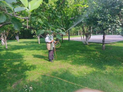 J9九游會鮮花綠樹裝扮浐灞靚麗一“夏”(圖2) J9九游會鮮花綠樹裝扮浐灞靚麗一“夏”(圖2)