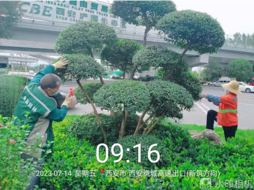 J9九游會鮮花綠樹裝扮浐灞靚麗一“夏”(圖3) J9九游會鮮花綠樹裝扮浐灞靚麗一“夏”(圖3)