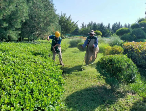 J9九游會鮮花綠樹裝扮浐灞靚麗一“夏”(圖4) J9九游會鮮花綠樹裝扮浐灞靚麗一“夏”(圖4)