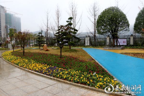 婁底園林綠化“煥新顏”:從“見縫插綠”到“遍地開花”(圖2) 婁底園林綠化“煥新顏”:從“見縫插綠”到“遍地開花”(圖2)