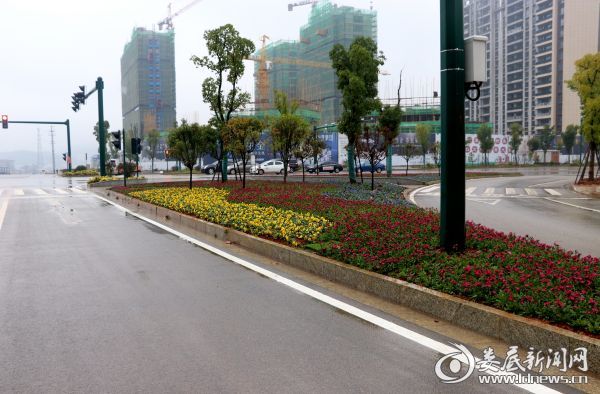 婁底園林綠化“煥新顏”:從“見縫插綠”到“遍地開花”(圖4) 婁底園林綠化“煥新顏”:從“見縫插綠”到“遍地開花”(圖4)