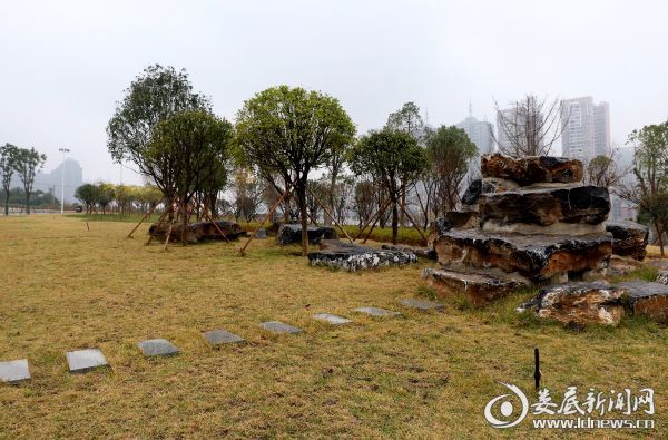 婁底園林綠化“煥新顏”:從“見縫插綠”到“遍地開花”(圖5) 婁底園林綠化“煥新顏”:從“見縫插綠”到“遍地開花”(圖5)