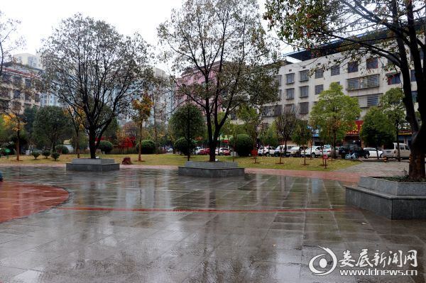 婁底園林綠化“煥新顏”:從“見縫插綠”到“遍地開花”(圖6) 婁底園林綠化“煥新顏”:從“見縫插綠”到“遍地開花”(圖6)