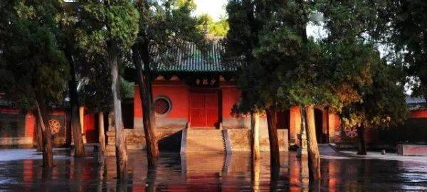 九游會J9小布播報|鄭州入選國際性綜合交通樞紐城市名單;鄭州敲定2022年城市園林綠化工作要點(圖3) 九游會J9小布播報|鄭州入選國際性綜合交通樞紐城市名單;鄭州敲定2022年城市園林綠化工作要點(圖3)