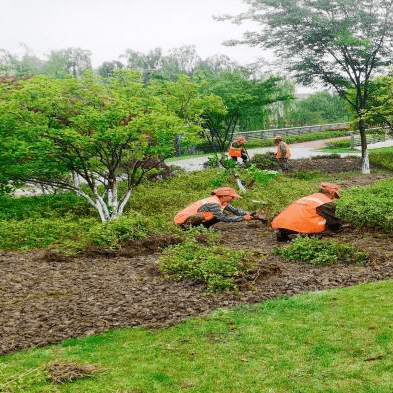 堅持精細化管理 打造有“顏”園林城市 嘉興科技城(南湖高新區)推出一系列“精細化”園林綠化養護管理措施(圖3) 堅持精細化管理 打造有“顏”園林城市 嘉興科技城(南湖高新區)推出一系列“精細化”園林綠化養護管理措施(圖3)